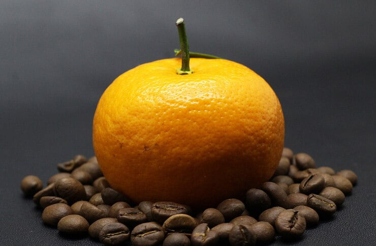 تصویر 1 از قیمت خرید پرتقال ناول + فروش ویژه
